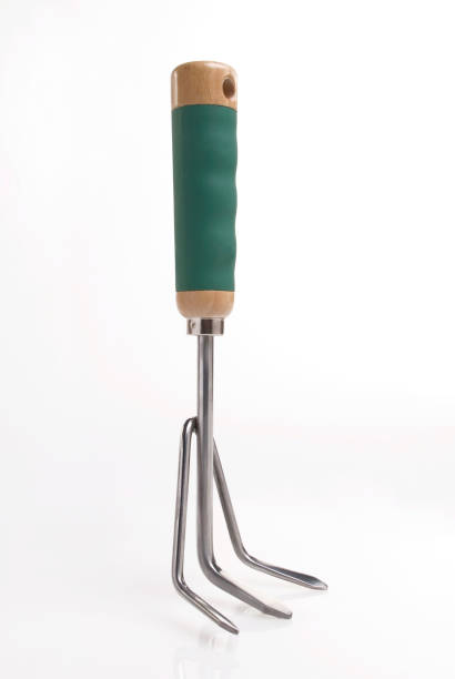 3-prong hand cultivator aerating rich topsoil